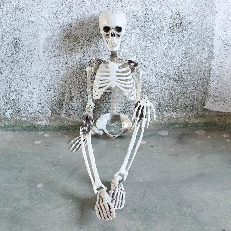 Authentic Skeleton Replica