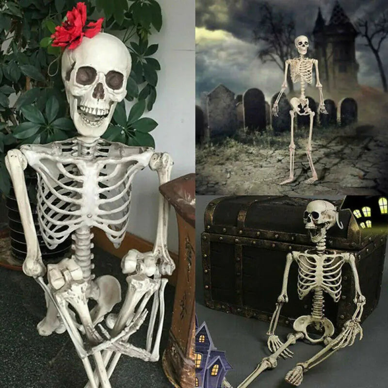 Authentic Skeleton Replica