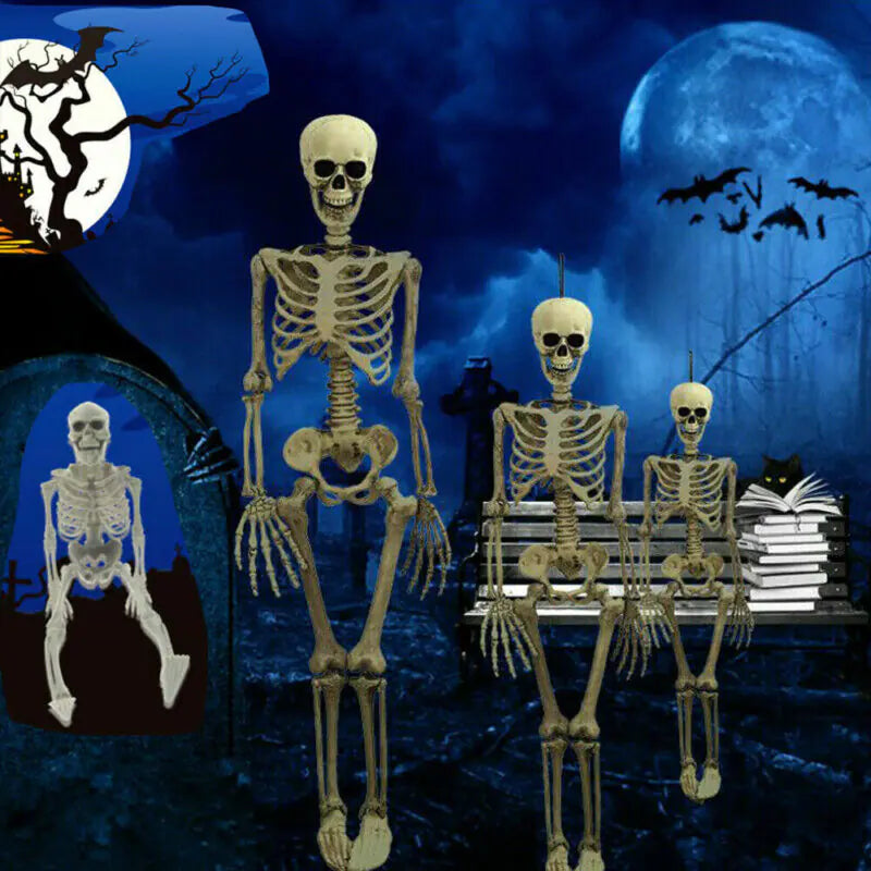 Authentic Skeleton Replica