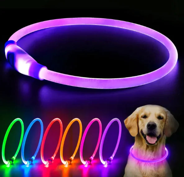 GlowGuard Rechargeable Dog Collar