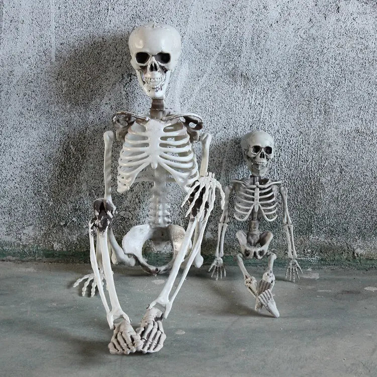 Authentic Skeleton Replica