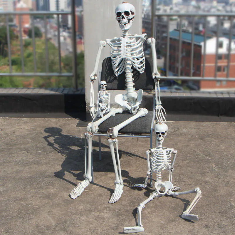 Authentic Skeleton Replica