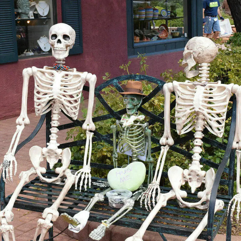 Authentic Skeleton Replica