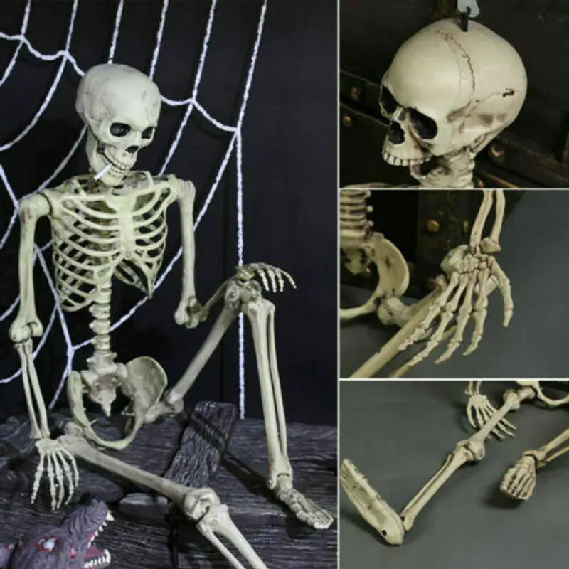 Authentic Skeleton Replica