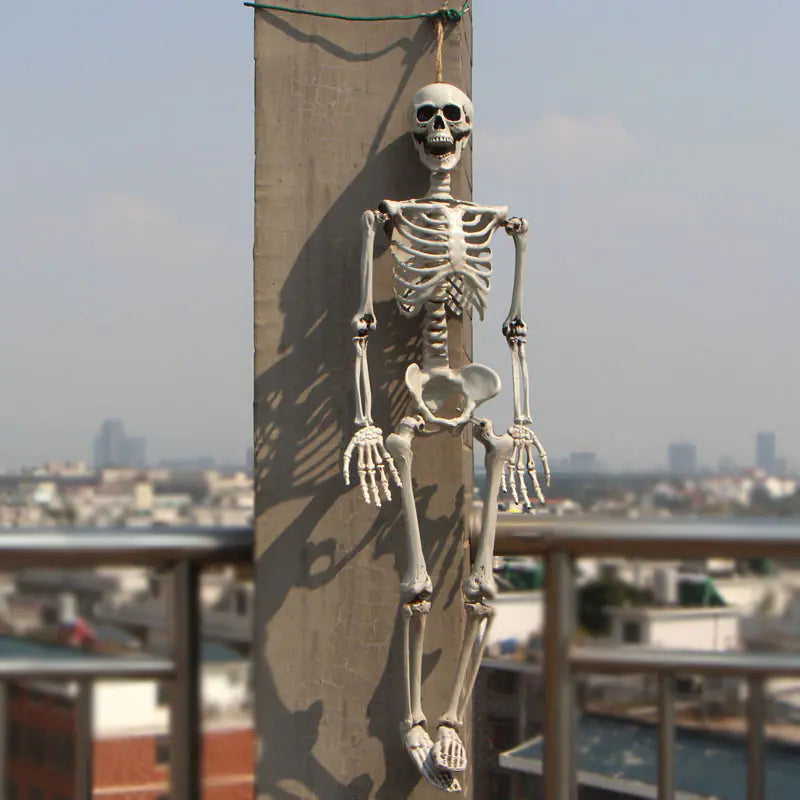 Authentic Skeleton Replica