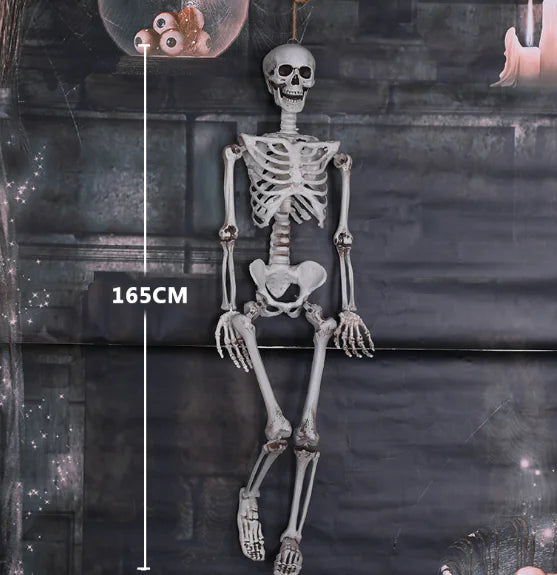 Authentic Skeleton Replica